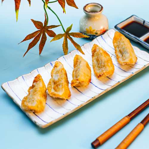Gyoza au poulet
